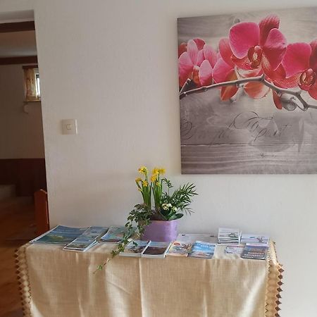 Haus Sonnenhang +Seeblick+Pool Reifnitz Eksteriør bilde