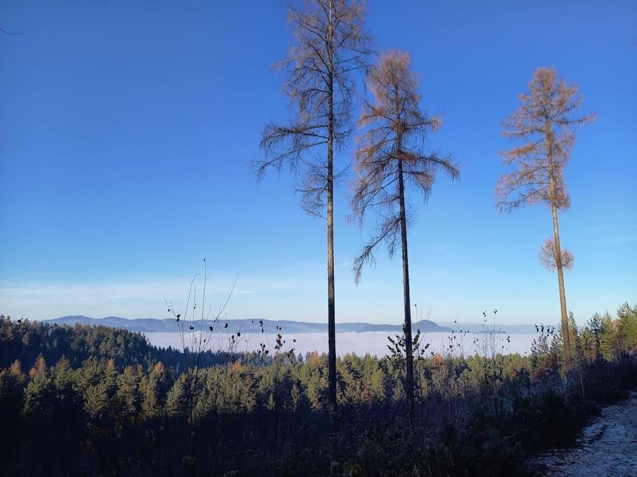 Haus Sonnenhang +Seeblick+Pool Reifnitz Eksteriør bilde