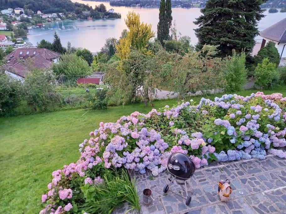 Haus Sonnenhang +Seeblick+Pool Reifnitz Eksteriør bilde