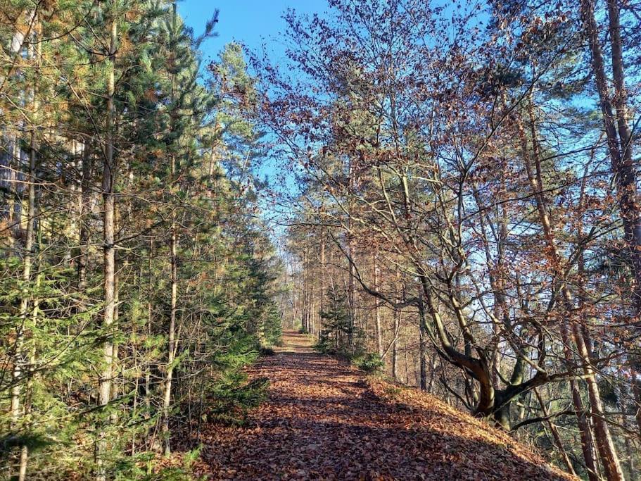 Haus Sonnenhang +Seeblick+Pool Reifnitz Eksteriør bilde